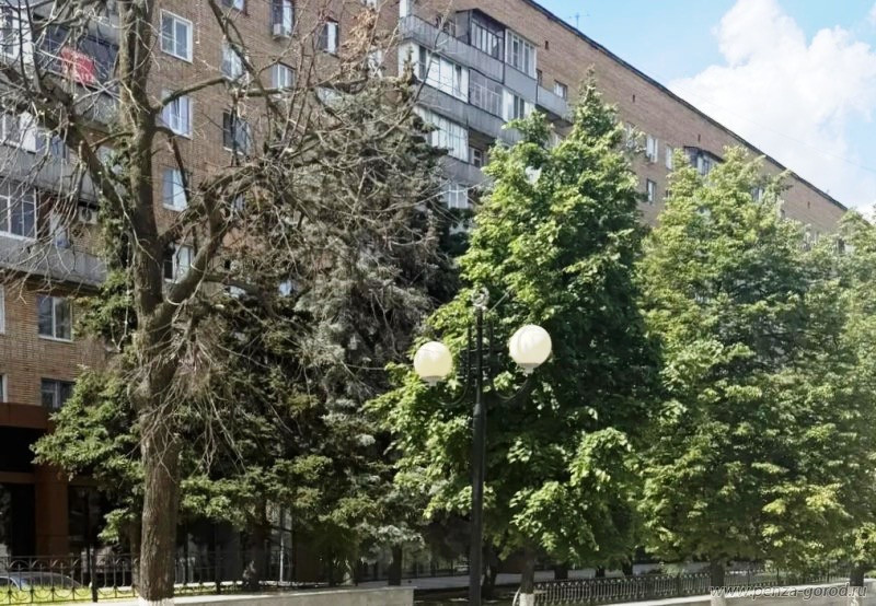 В Пензе на улице Московской заменят аварийные деревья