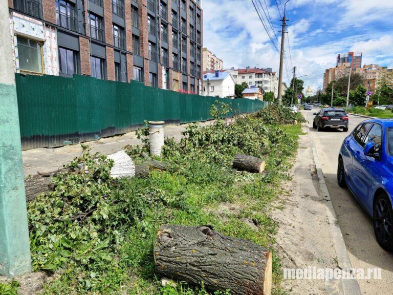 «Озеленение» Пензы продолжается. На улице Богданова спилили здоровые липы