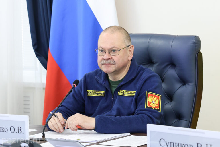 В Пензенской области увеличат количество рейдов по проверке безопасности у воды
