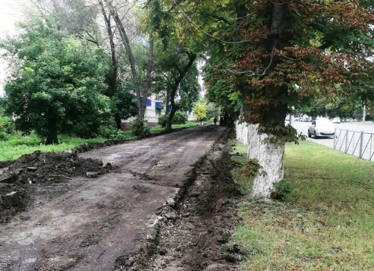 Рабочие повредили корневую систему каштанов во время ремонта тротуара на улице Коммунистической
