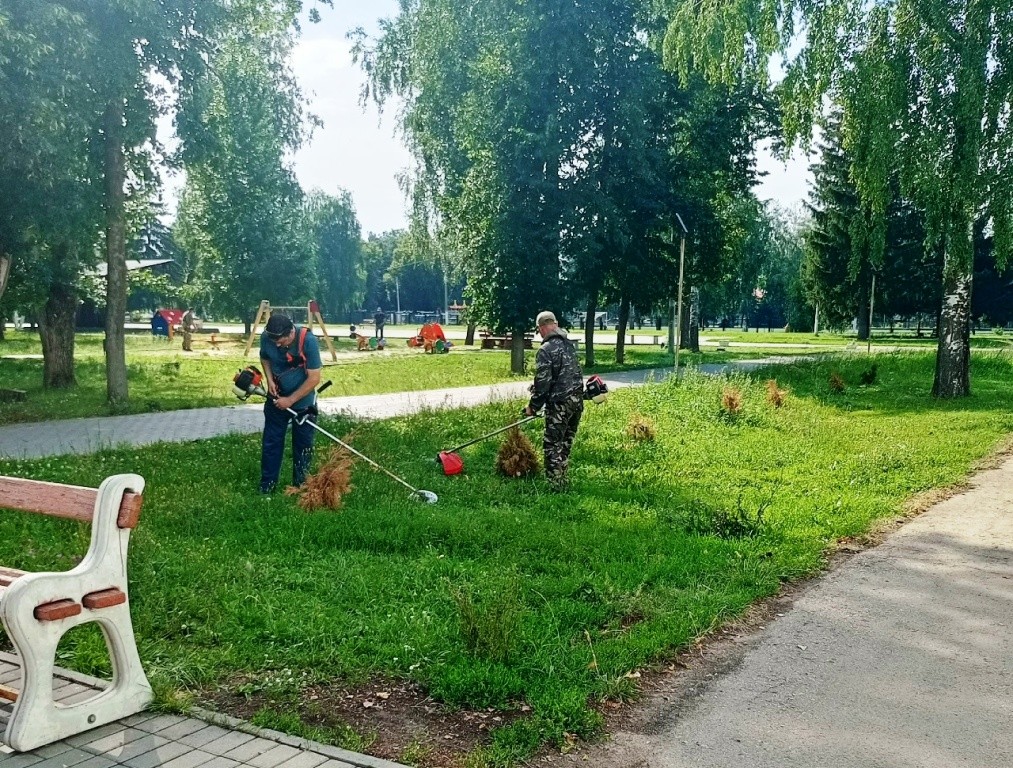 Глава Колышлейского района вышел на субботник с триммером