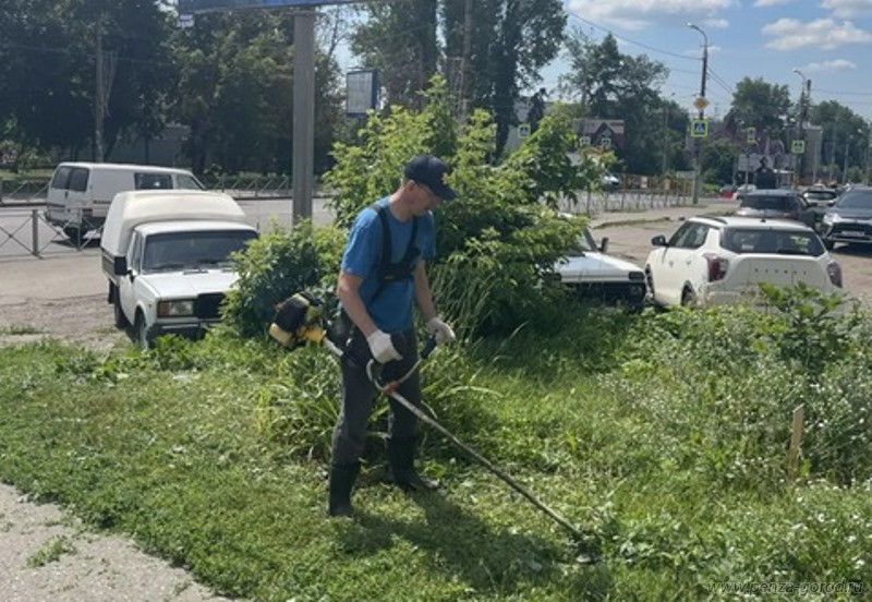 На улицах Первомайского района Пензы организовали работы по благоустройству На улицах Первомайского района Пензы организовали работы по благоустройству