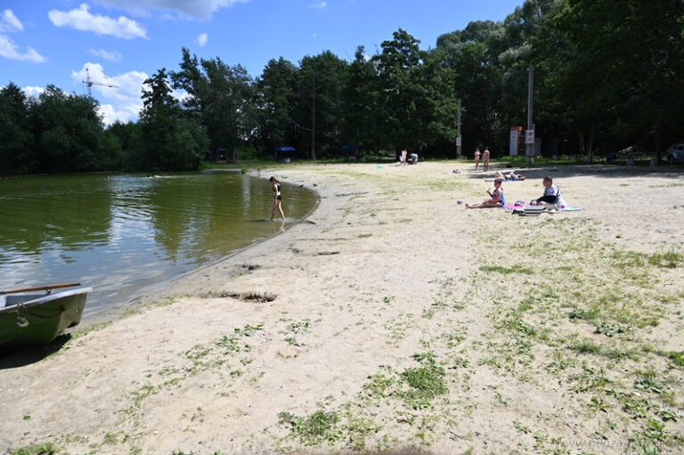 Мэр Пензы предупредил об опасности купания в городских водоёмах