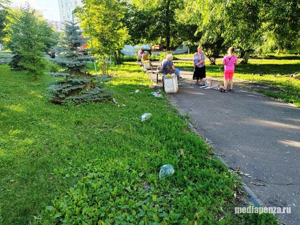 Сквер «Три гвоздики» на улице Карпинского в Пензе зарастает мусором