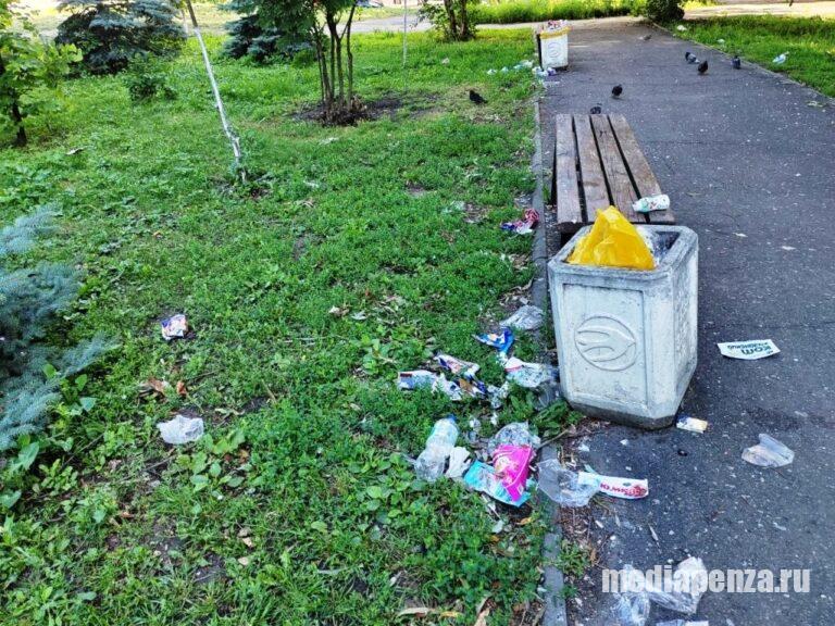 Сквер «Три гвоздики» на улице Карпинского в Пензе зарастает мусором