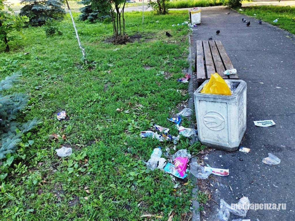 Сквер «Три гвоздики» на улице Карпинского в Пензе зарастает мусором Сквер «Три гвоздики» на улице Карпинского в Пензе зарастает мусором