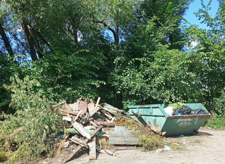 Жители Колышлея жалуются на горы мусора в микрорайоне Япония