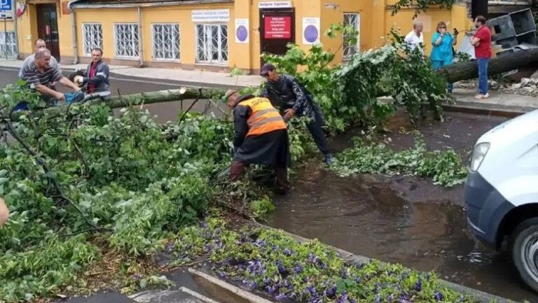 Нижний Ломов практически полностью обесточен из-за поваленных ураганом деревьев на линии электропередач