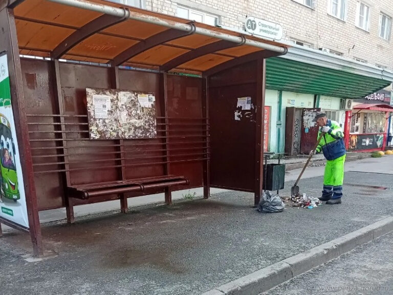Во всех районах Пензы организовали работу санитарного патруля