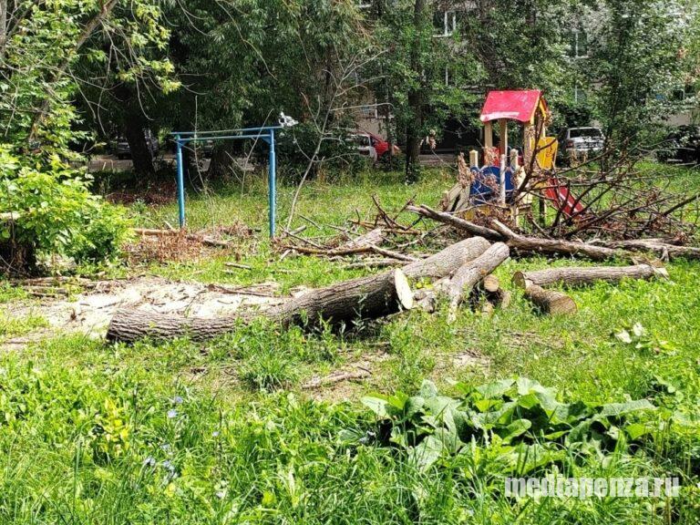 «Лето в городе». Детскую площадку на улице Суворова в Пензе завалили спиленными деревьями