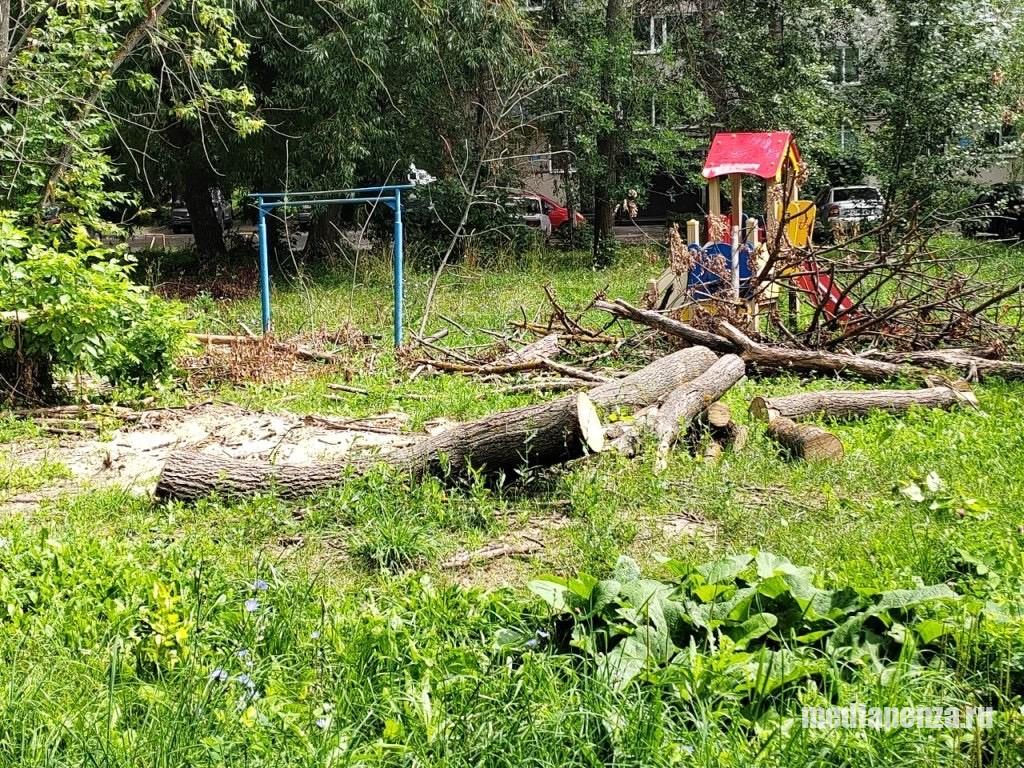 «Лето в городе». Детскую площадку на улице Суворова в Пензе завалили спиленными деревьями «Лето в городе». Детскую площадку на улице Суворова в Пензе завалили спиленными деревьями
