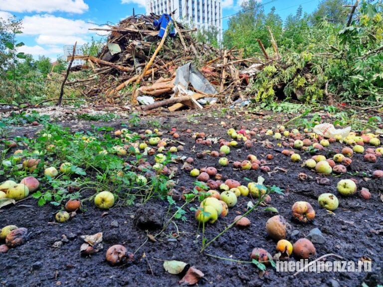 На улице Измайлова снесли десятки деревьев, огороды и дворовые постройки жителей в рамках комплексного развития территории