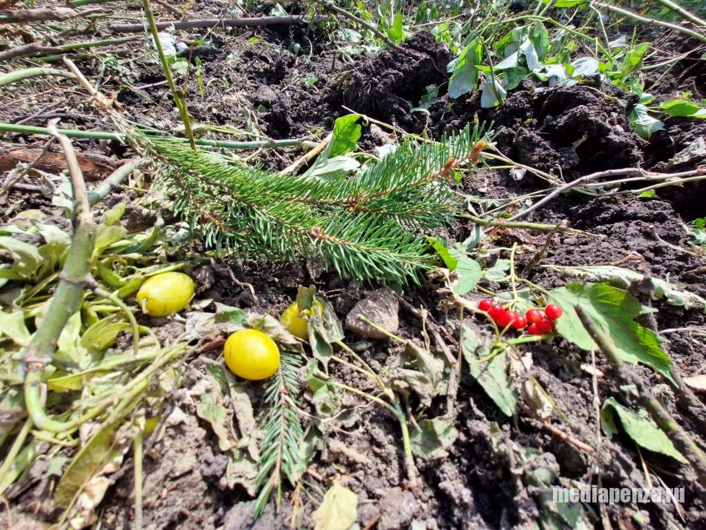 На улице Измайлова снесли десятки деревьев, огороды и дворовые постройки жителей в рамках комплексного развития территории