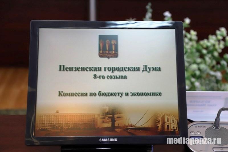 В гордуме разгорелась горячая дискуссия по вопросу посещения многодетными семьями зоопарка и парка им. В.Г. Белинского