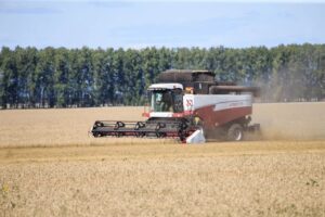 Уборочная кампания в Пензенской области завершена на 13,5%