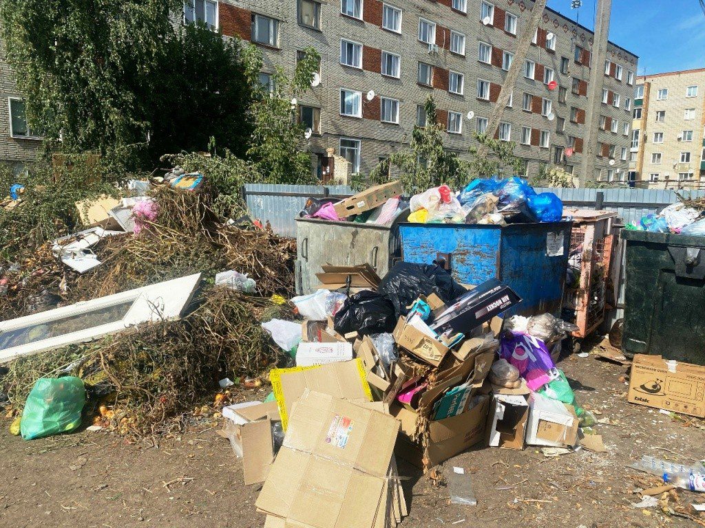 В Нижнем Ломове из-за закрытия полигона перестали вывозить мусор с контейнерных площадок