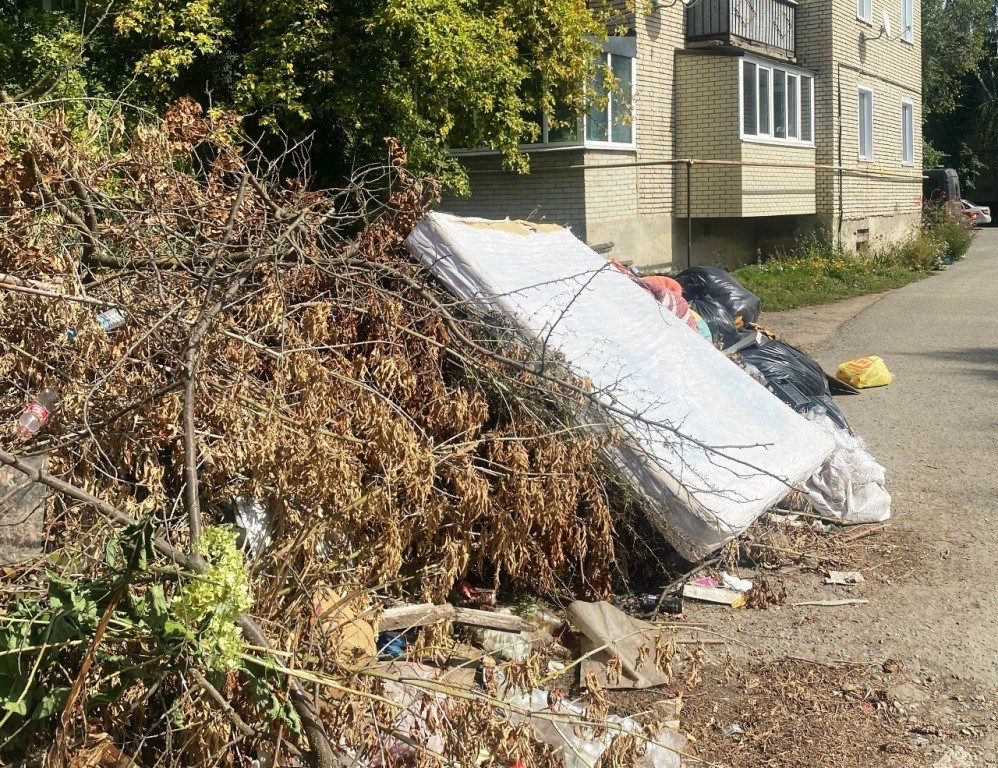 В Нижнем Ломове из-за закрытия полигона перестали вывозить мусор с контейнерных площадок
