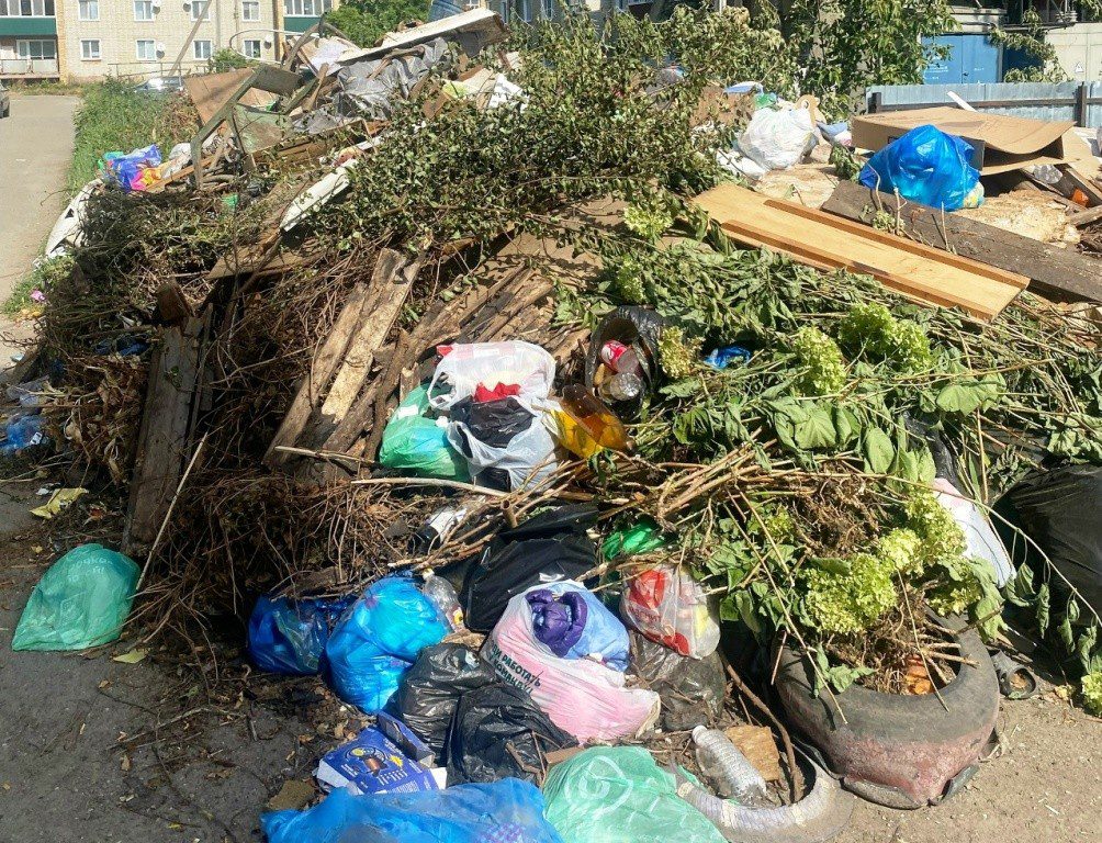 В Нижнем Ломове из-за закрытия полигона перестали вывозить мусор с контейнерных площадок