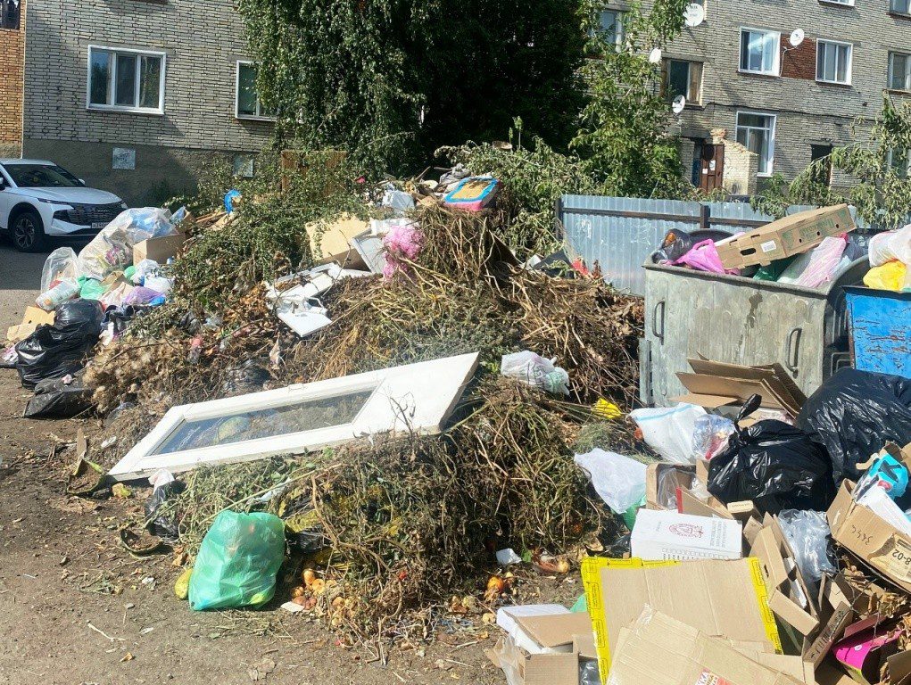 В Нижнем Ломове из-за закрытия полигона перестали вывозить мусор с контейнерных площадок