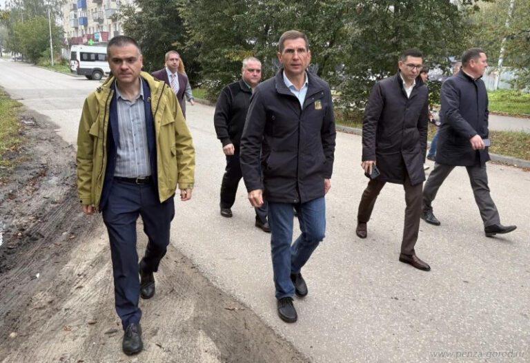 Мэр Пензы указал на недостатки благоустройства в микрорайоне Шуист