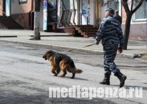 В День знаний в Пензе «заминировали» несколько школ и больниц