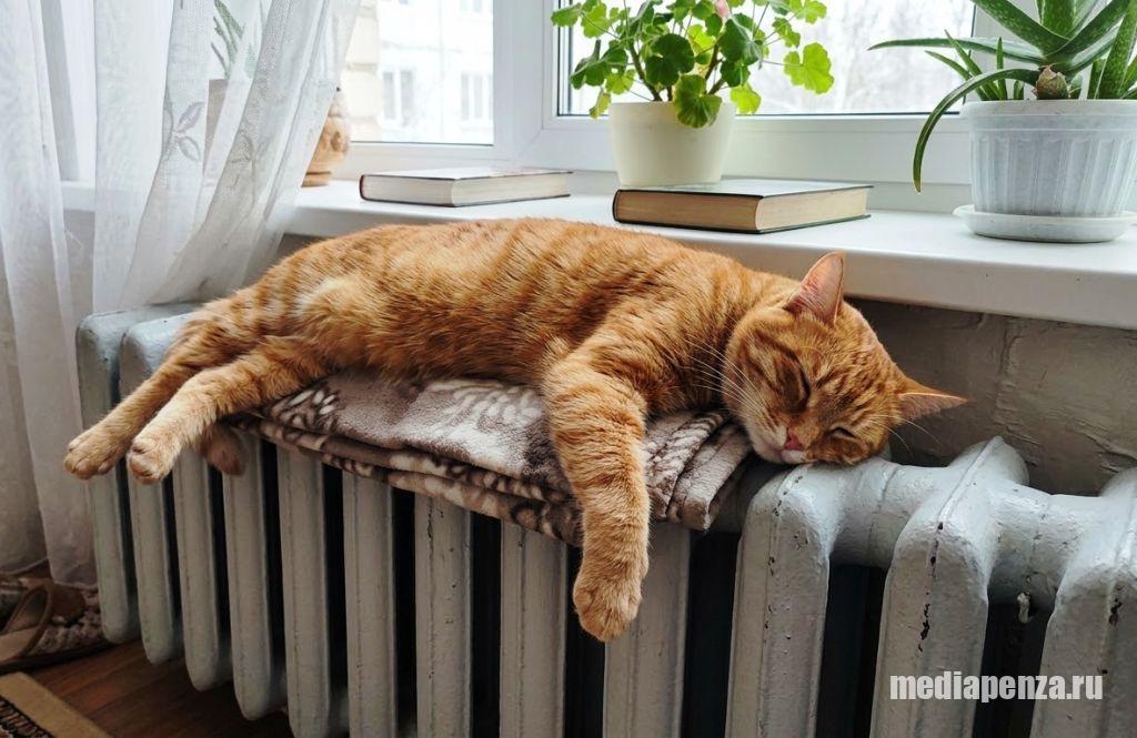 Принято решение о старте отопительного сезона в Пензе, Заречном и Кузнецке Принято решение о старте отопительного сезона в Пензе, Заречном и Кузнецке